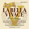 La Bella Strings Vivace Oud Ouviv-t turkiškos ladavimo stygos oud fleurokarbonui/sidabru dengtos 11 stygų komplektas