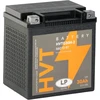 Landport akumuliatorius Hvtg30h-3 Gel 12 V 30 Ah, suderinamas su Hd Chopper Motorcycle Fl, Flh, Flhr, Flhtc, Flhx, Xlh, Road King, Electra Glide, Street Glide