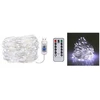 Led girlianda su usb, valdoma pulteliu, šaltai balta, 5 m