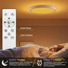Led Lubinis Šviestuvas 24w 30cm Pritemdomas su Rgb, Nuotolinio Valdymo