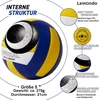 Lemondo tinklinio kamuolys Pu minkštas paplūdimio tinklinio kamuolys minkštas vandeniui atsparus su pompa tinkamas naudoti patalpose ir lauke vandens kamuolys žaidimams treniruotėms paplūdimio kamuoliai
