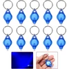 Liaisimi Led Uv raktų pakabuko žibintuvėlis, mini Led raktų pakabuko šviestuvas, nešiojamas raktų pakabuko žibintuvėlis, juodos šviesos Uv šlapimo detektorius šunims (10 vnt., mėlyni)