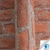 Livingwalls Designdrop 784561 iš anksto įklijuojami flizeliniai tapetai – tapetavimas be klijų – raudoni, rudi – akmens imitacijos tapetai, pagaminti Vokietijoje