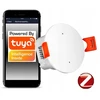 Lubinis mikrobangų jutiklis, buvimo sensorius Zigbee Tuya Smart 230v