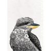 Maxwell & Williams Marini Ferlazzo Birds ar indiškojo povo dizainu margintas arbatos rankšluostis, 100% medvilnė, juoda/balta, 50 x 70 cm, galima skalbti skalbimo mašinoje
