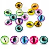 MIC Stikliniai kabošonai Akys, apvalūs, Mix, 16x5mm, 20vnt