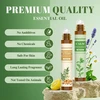 Migcaput eterinių aliejų rinkinys roll on 6 x 10 ml, aromaterapinis eterinių aliejų mišinys roller dovanų rinkinys - raminantis, atnaujinantis, palengvinantis, geram miegui, nuo galvos skausmo, bosvelijų ir mirų