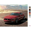 Mustang paveikslas pagal skaičius 40 x 50 cm be porėmio