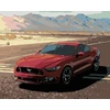 Mustang paveikslas pagal skaičius 40 x 50 cm be porėmio