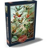 Mypuzzle kolibriai ir trochilidae (kolibriai), vintažinis meno plakatas, ernst haeckel - premium 1000 dalių dėlionė - mypuzzle special collection by havana puzzle company