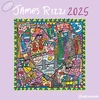N Neumannverlage - James Rizzi 2025 brošiūrinis kalendorius, 30 x 30 cm, sieninis kalendorius su James Rizzi paveikslėliais, mėnulio fazėmis, daug vietos pastaboms ir tarptautinėms šventėms / kalendorius