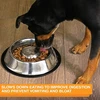 Neater Pet Brands nerūdijančio plieno lėto ėdimo dubuo, neslystantis, apsaugantis nuo greito šunų maisto išblukimo, pilvo pūtimo, virškinimo ir greito ėdimo (ypač didelis, 5 puodeliai)