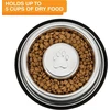 Neater Pet Brands nerūdijančio plieno lėto ėdimo dubuo, neslystantis, apsaugantis nuo greito šunų maisto išblukimo, pilvo pūtimo, virškinimo ir greito ėdimo (ypač didelis, 5 puodeliai)