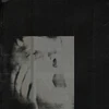 Vinilinė plokštelė Never Exhale