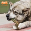 Nylabone, itin stiprus kramtymo efektas, aligatoriaus uodega, šunų žaislas pagamintas iš patvaraus nailono, vištienos skonio, didelis, šunims iki 23 kg