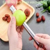 Obuolių šerdies išėmėjas, 2 vnt. vyšnių kauliukų išėmėjas, vaisių šerdies išėmėjas, vyšnių šerdies išėmėjas iš nerūdijančio plieno, obuolių šerdies išėmėjas iš nerūdijančio plieno, obuolių pjaustyklė vyšnioms, gudobelėms ir raudoniesiems datulėms