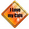 Orange Atšvaitinis magnetas I love my cats oranžinis, matomas ant automobilio