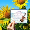 Origach muzikos instrumentų skaidrus antspaudas ir štampai kortelių gamybai, muzikos partitūrų matricos ir antspaudų rinkinys "pasidaryk pats" albumų iškarpoms