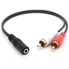 Paauksuotas 3,5 mm lizdas į 2 Rca kištukus audio stereo Y skirstytuvo kabelis Av adapteris išmaniesiems telefonams, planšetiniams kompiuteriams ir Mp3 grotuvams, namų kinui - 30 cm