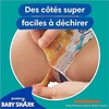 Pampers Size 4-5 sauskelnės, Splashers Baby Shark Limited Edition, 11 vnt. pakuotė, vienkartinės maudymosi sauskelnės saugiai apsaugai vandenyje (3 vnt. pakuotė)