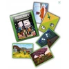 Panini minecraft celebration lipdukų albumo rinkinys 5 lipdukai 3 limited