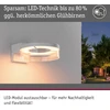 Paulmann 93114 led lauko sieninis šviestuvas zigbee 3.0 capera su judesio davikliu, draugiškas vabzdžiams, ip44, 231 mm, reguliuojama šiluma, 12.5 w, 800 lm, 230 v, baltas aliuminis