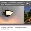 Paulmann 94864 led lauko sieninis šviestuvas zigbee 3.0 skyla su judesio davikliu, draugiškas vabzdžiams, ip44, 226 x 164 mm, reguliuojama šiluma, 10 w, 840 lm, 230 v, antracito spalvos aliuminis