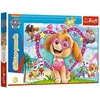 Paw Patrol blizgantis dėlionė, dangaus šviesoje (vaikiška dėlionė)