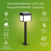Philips Ezra itin efektyvus lauko saulės energijos postamento šviestuvas su jutikliu, 3000k balta šviesa, 250/25lm, juodas