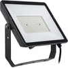 Philips Projectline prožektorius, 100 W, 3000 K, juodas