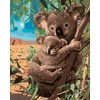 Piešimas pagal skaičius - Koala lokiai 40 x 50 cm be porėmio
