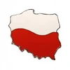 Pin'as atlapas švarkas kostiumas Lietuvos forma segė pagaminta Lenkijoje
