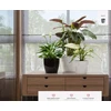 Plastikinis gėlių vazono dangtelis Magnolia 300 - juodas