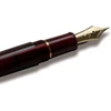 Platinum Century Gold Trim Bourgogne japoniškas plunksnakotis - raudonas/0.34-0.44mm/rankų Darbo/14k aukso plunksna/dovanų dėžutė/plunksnakotis Pnb15000-71m - #3776