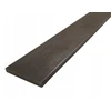 Plieninė juosta 100x10 mm, 300 cm ilgio (3 m)