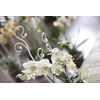 Prosperplast atrama gėlėms, orchidėjoms, orchidėjoms Istc03 rožinė