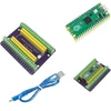 Raspberry Pi Pico su Gpio išplėtimo plokšte ir Micro Usb kabeliu