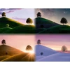 Ravensburger dėlionė 17443 - atmospheric trees and mountains, 2000 detalių dėlionė suaugusiems ir vaikams nuo 14 metų