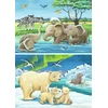 Ravensburger Dėlionė Vaikams - Gyvūnai Iš Viso Pasaulio, 2 x 12 Detalės