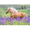 Ravensburger vaikiška dėlionė 05148 Horse Love dėlionė vaikams nuo 4 metų su 2 x 24 detalėmis