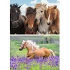 Ravensburger vaikiška dėlionė 05148 Horse Love dėlionė vaikams nuo 4 metų su 2 x 24 detalėmis