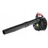 Red Technic Benzininis sodo lapų pūstuvas Raudona Technic 2 Ag + 3x alyva