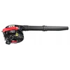Red Technic Benzininis sodo lapų pūstuvas Raudona Technic 2 Ag + 3x alyva