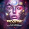 Vinilinė plokštelė Reverze Synergy Sound Rush Mix