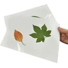 Šalto laminavimo plėvelės nuotraukoms, laminavimo plėvelė, lipni laminavimo plėvelė, šalto laminavimo vokeliai ultragarso nuotraukoms, ultragarso nuotraukų laminavimas, laminavimo vokeliai ir grandikliai