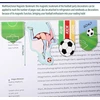 Sinmoe 50 futbolo vakarėlio dovanų rinkinys, įskaitant 10 futbolo vakarėlio maišelių, 10 futbolo raktų pakabukų, 10 futbolo labirinto žaislų, 10 magnetinių skirtukų, 10 tatuiruočių lipdukų berniukams ir mergaitėms