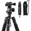 Sirui am-5c anglies pluošto kelioninis trikojis, 140 cm kompaktiškas lengvas anglies pluošto trikojis su 360° panoraminiu rutuliniu galvu, skirtas dslr, greito atleidimo plokštelė, nuimama centrinė kolona, keliamoji galia iki 10 kg