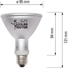 Solarraptor - Hid lempos prožektorius - 50w [įvairūs]