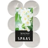 Spaas 12 maxi žvakutės ± 10 valandų Spiritual Jasmine 0392103.577 baltos D 58 mm x H 24 mm