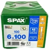 Spax Nerūdijančio plieno medvaržčiai 6x100 mm, A2 plienas, 100 vnt.